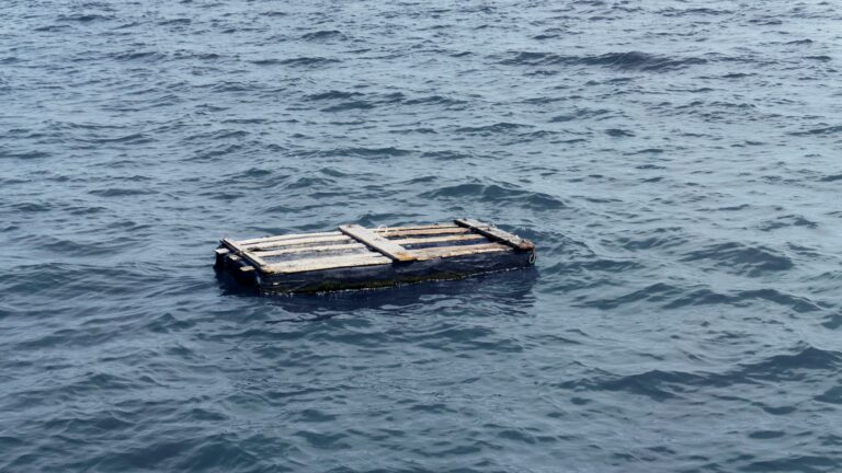 A wooden pallet on water.